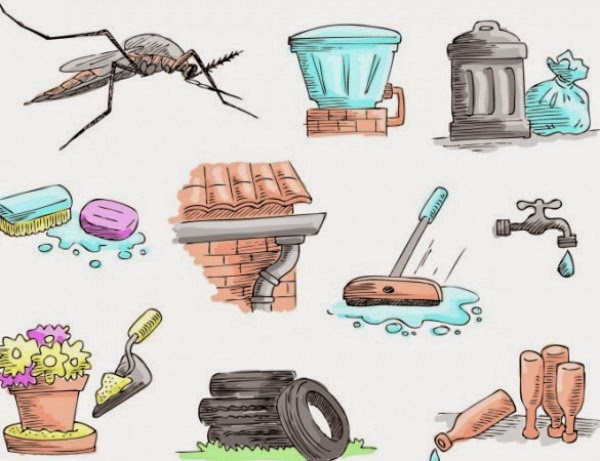 5 Langkah Mudah Menghalang Aedes Membiak Di Kediaman Anda